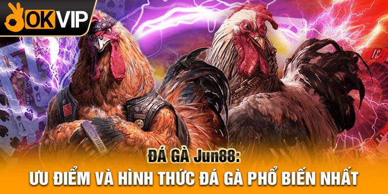 Đá gà Jun88: Ưu điểm và hình thức đá gà phổ biến nhất