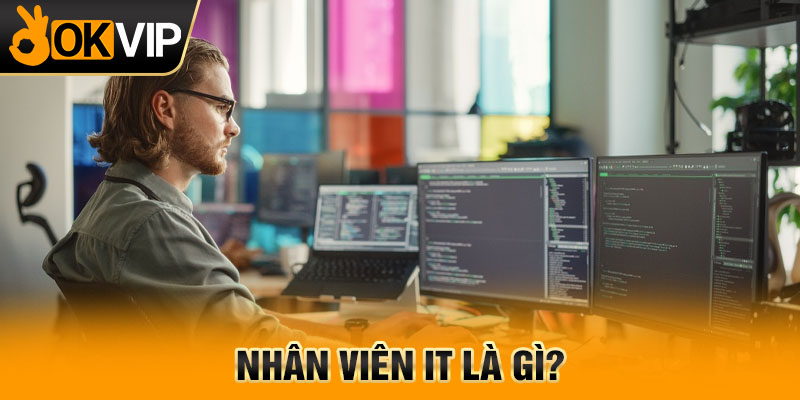 Nhân viên IT là gì?