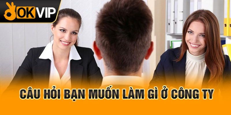 câu hỏi bạn muốn làm gì ở công ty
