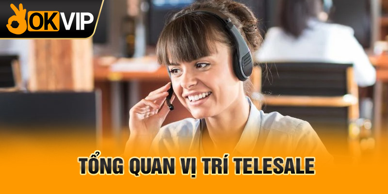 Tổng quan vị trí telesale