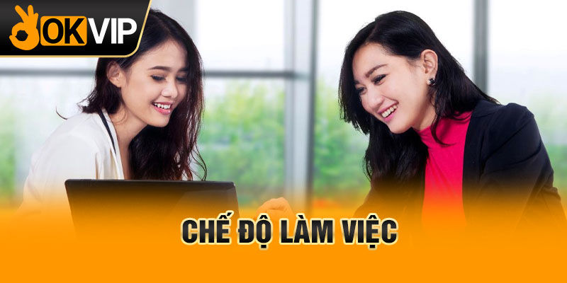 Chế độ làm việc