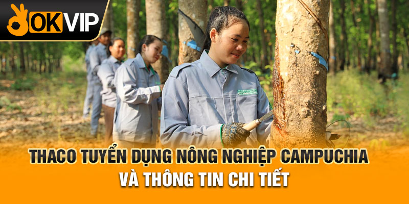 Thaco tuyển dụng nông nghiệp Campuchia và thông tin chi tiết