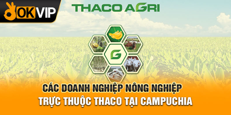 Các doanh nghiệp nông nghiệp trực thuộc Thaco tại Campuchia