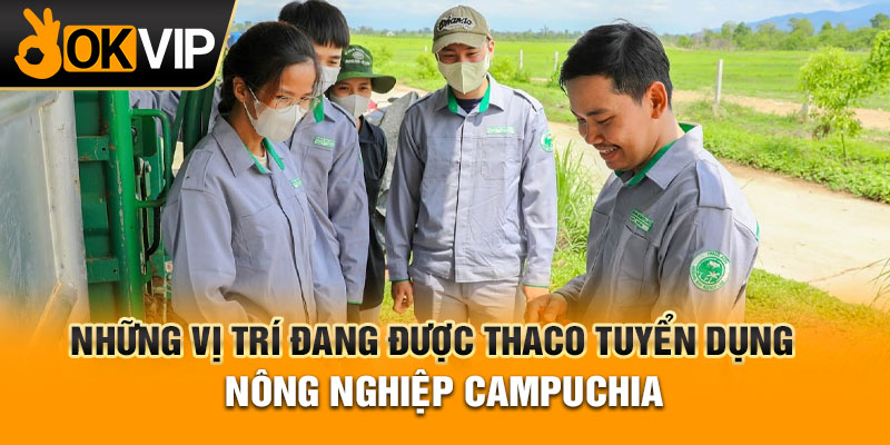 Những vị trí đang được THACO tuyển dụng nông nghiệp Campuchia