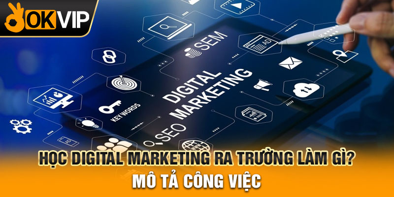 Học digital marketing ra trường làm gì? Mô tả công việc
