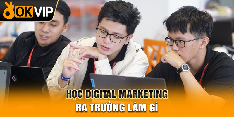 Học digital marketing ra trường làm gì