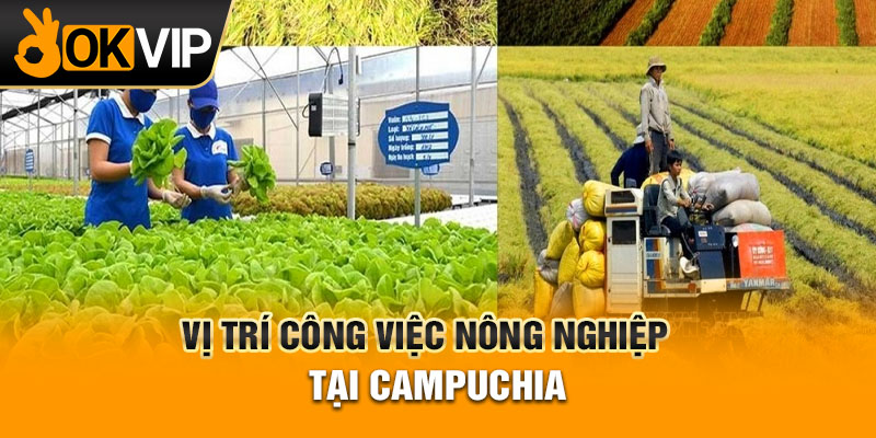 Vị trí công việc nông nghiệp tại campuchia