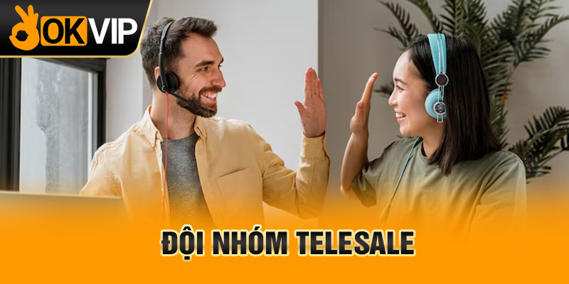 Đội nhóm telesale