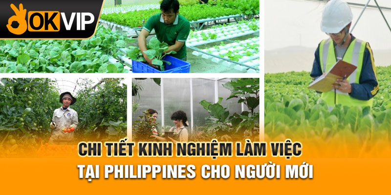 Chi tiết kinh nghiệm làm việc tại Philippines cho người mới