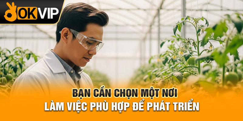 Bạn cần chọn một nơi làm việc phù hợp để phát triển
