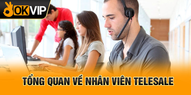 Tổng quan về nhân viên telesale