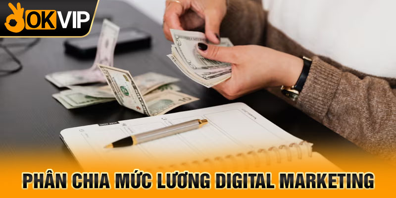 Phân chia mức lương digital marketing