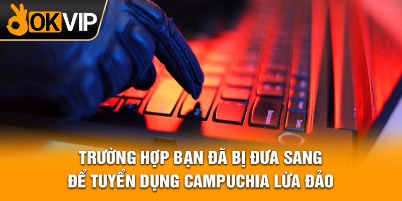 Trường hợp bạn đã bị đưa sang để tuyển dụng campuchia lừa đảo